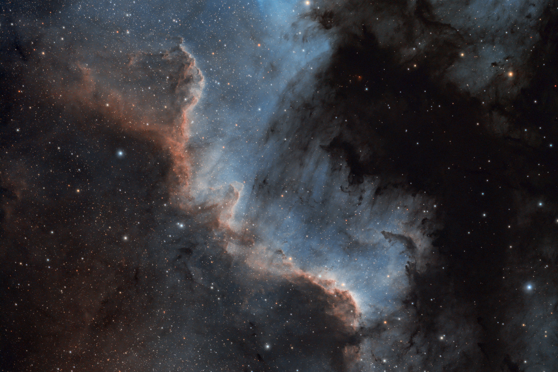 NGC 7000 - Cygnus Wall